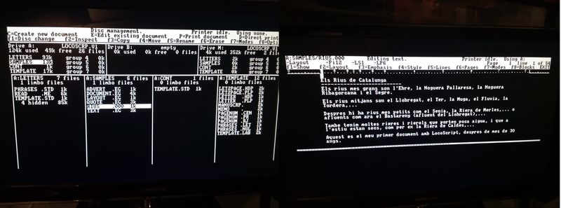 Fitxer:Locoscript rius.jpg