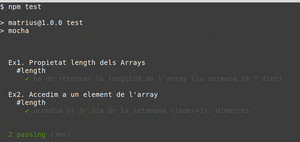 Test unitari matrius.png